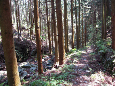 モエ坂の山道1