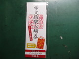 学文路駅入場券