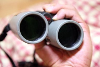 kowa-5