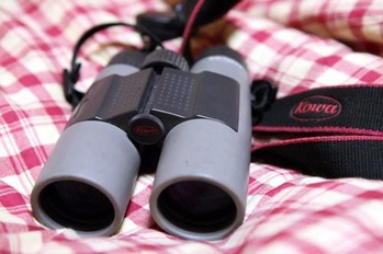 kowa-1