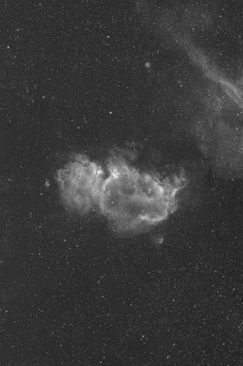 IC1848 - コピー
