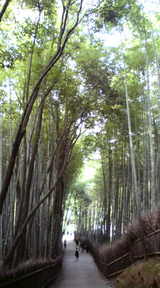 ���Ӥ�ƻ3