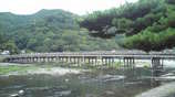 渡月橋1
