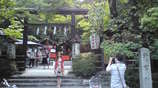 野宮神社1