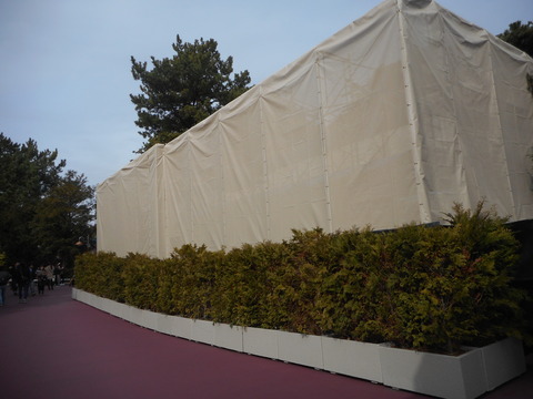DSCN4213