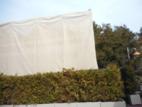 DSCN4212