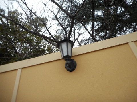 DSCN4442