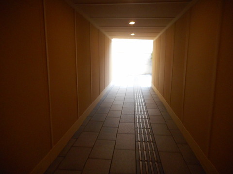 DSCN4450