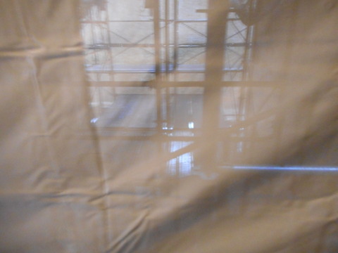DSCN4447