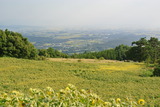 DSC_1070