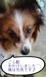 BlogPaint