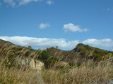 P1000950