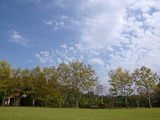 P1000651