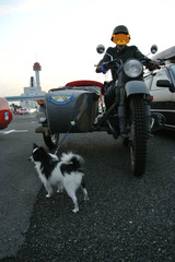 BlogPaint