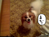 BlogPaint