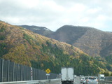 P1000949