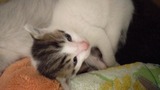 IMAG0301