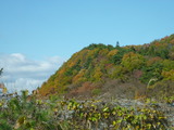 P1000952
