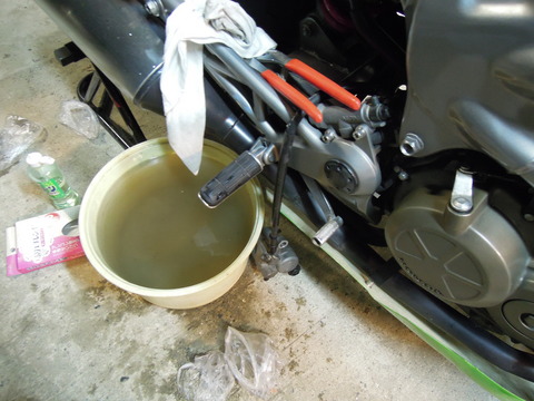 DSCN3177