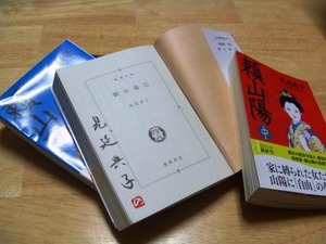 20120107 見延典子先生「頼山陽」