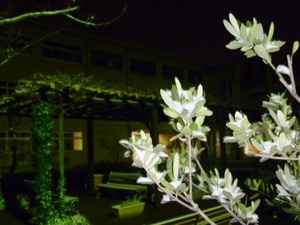 20120202 推薦入試前夜2