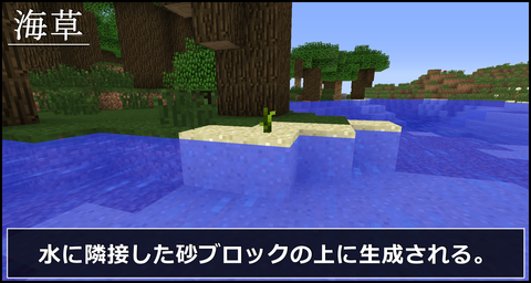 海藻