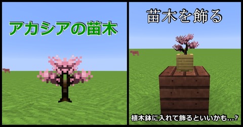 D2 花