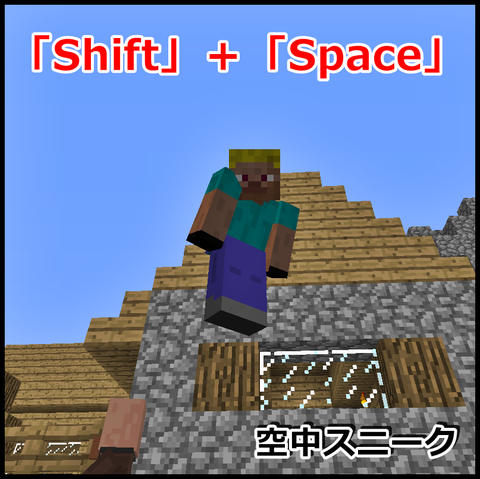 空中スニーク