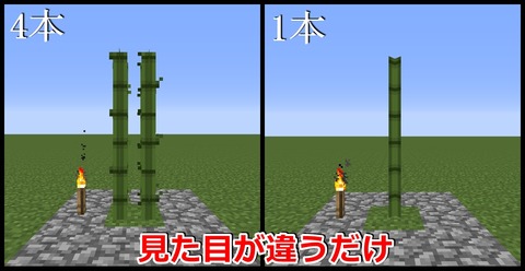 竹本数