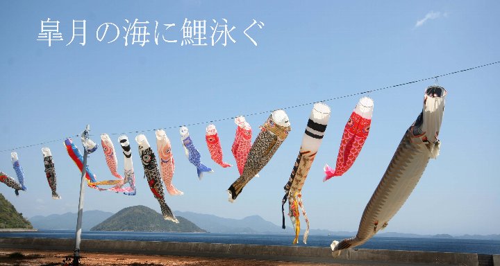 新潟・横浜 018