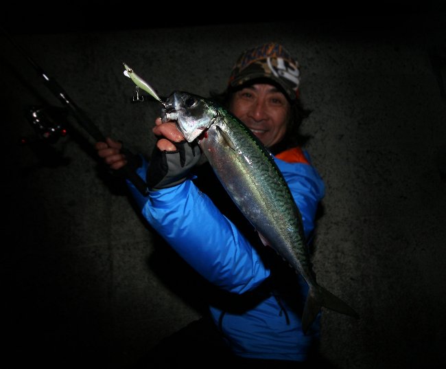 turishima 064