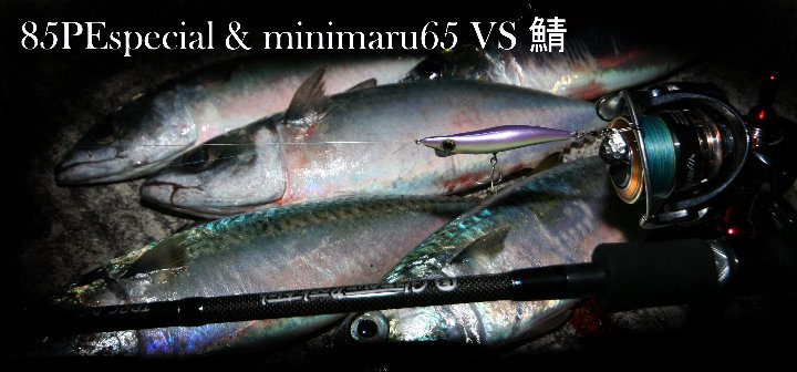 turishima 077