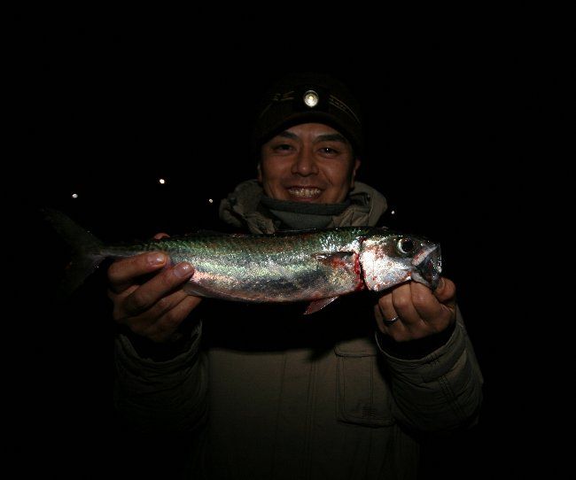 turishima 051