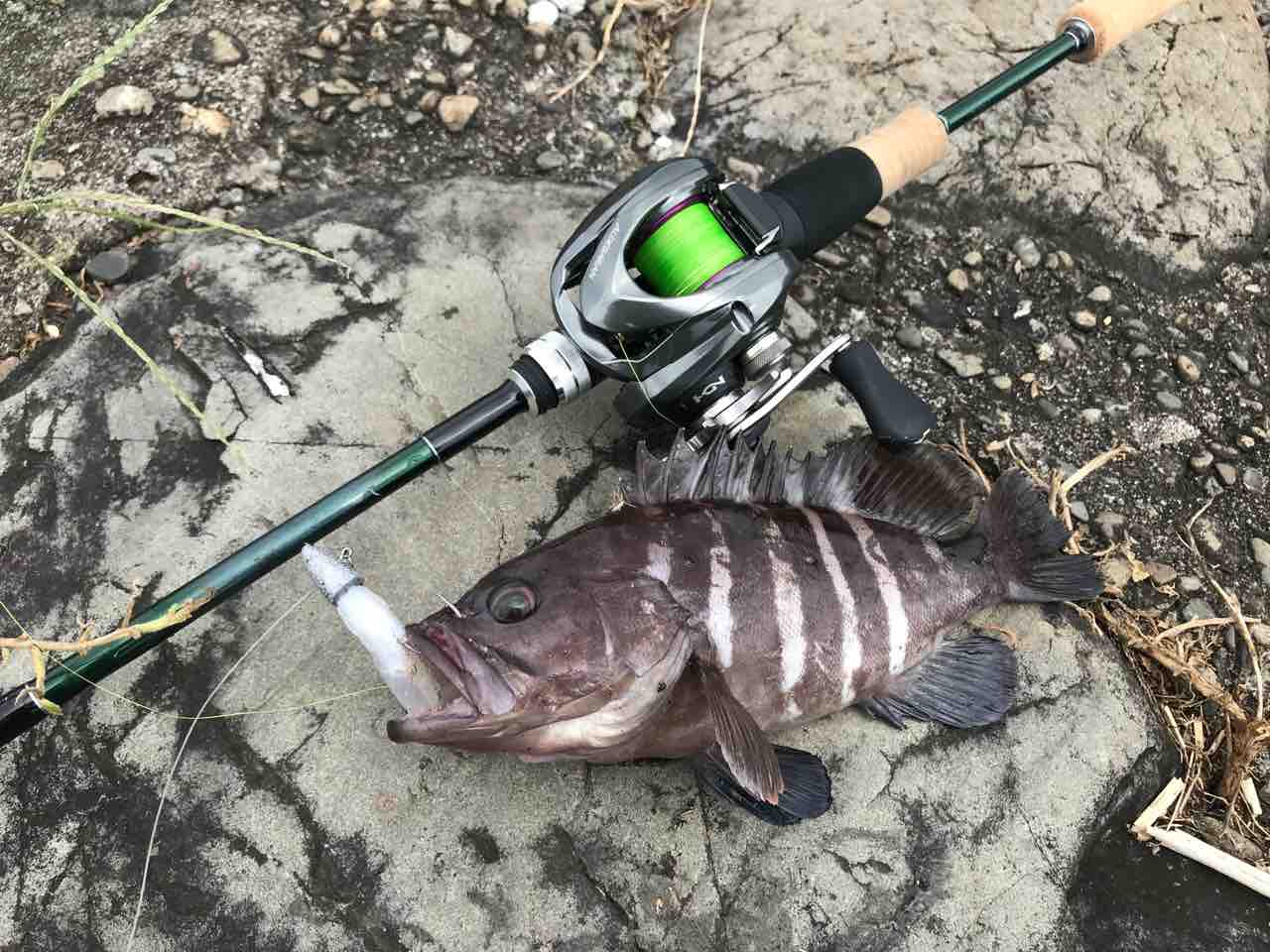 FullSizeRender