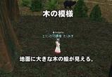 木の模様