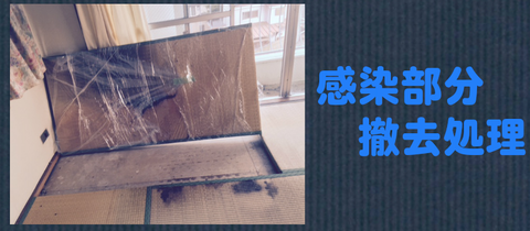 遺品整理感染