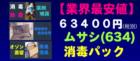 ゴミ屋敷