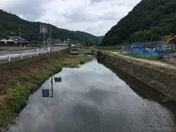 c95ffe49.jpg