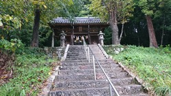 AE6770C6-A30C-4713-9CD2-8D693D420504