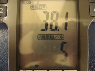 1128GYM3
