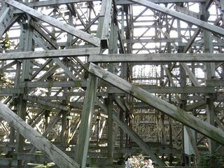 0711tobuyuen17