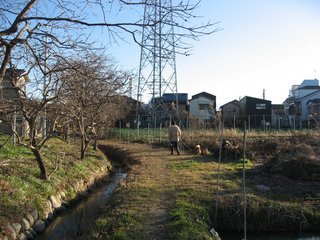0101nishi10