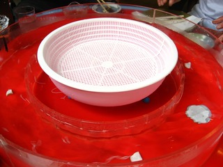 0816karu11