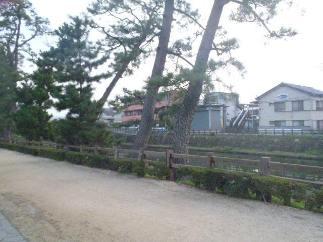 P8121346
