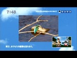 saku2_12_0123 (13)