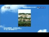 saku2_12_0124 (9)