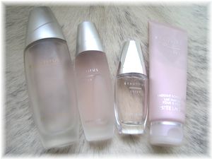 �ӥ塼�ƥ��ե� ������2