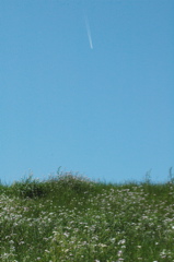 3b6642fe.jpg