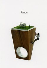 rings表