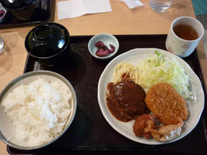 P1060099